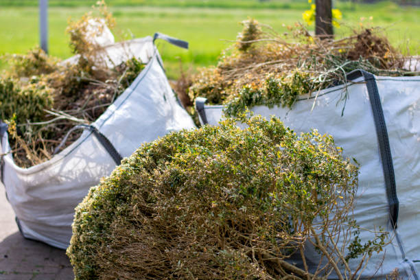 Basement Cleanout Services in Hobbs, NM